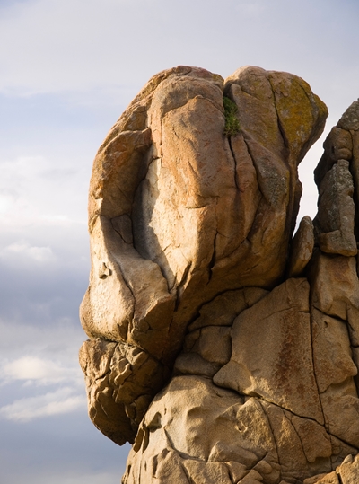 แพริโดเลีย (Pareidolia) แพริโดเลีย (Pareidolia)