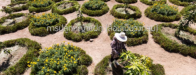 โครงการพระราชดําริ โครงการพระราชดําริ