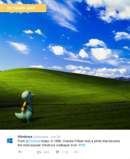 Wallpaper ทุ่งหญ้า Wallpaper ทุ่งหญ้า