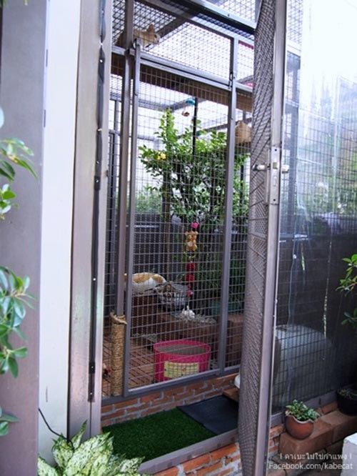 สร้างบ้านแมว สร้างบ้านแมว