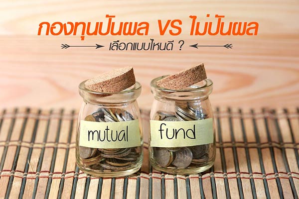 กองทุนปันผล กองทุนปันผล