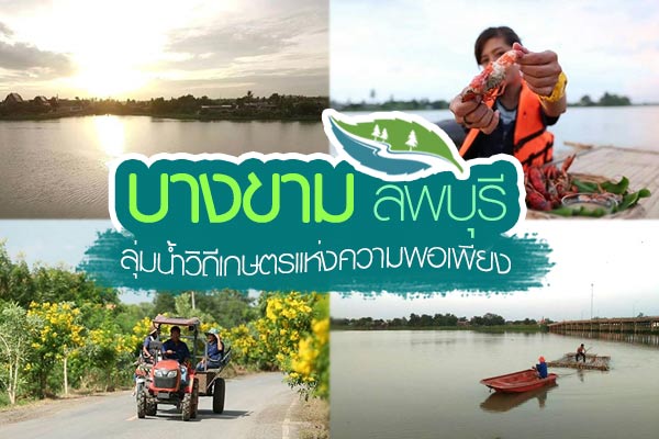 บางขาม ลพบุรี บางขาม ลพบุรี