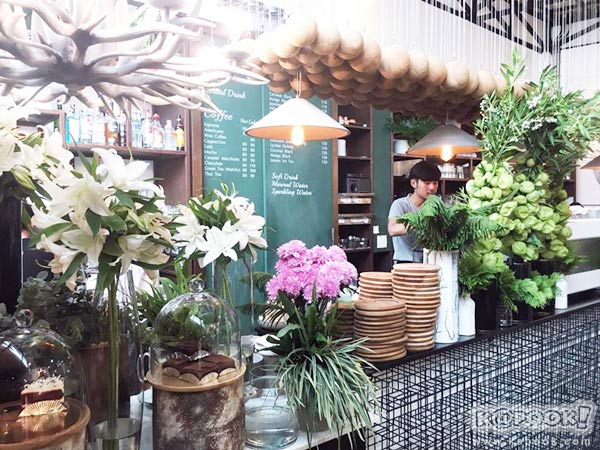 เที่ยวเชียงใหม่ เที่ยวเชียงใหม่