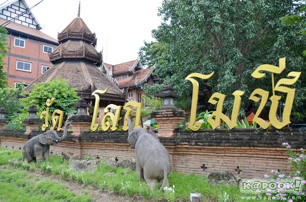 เที่ยวเชียงใหม่ เที่ยวเชียงใหม่