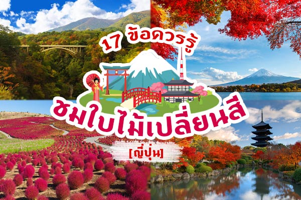 ชมใบไม้เปลี่ยนสี japan ชมใบไม้เปลี่ยนสี japan