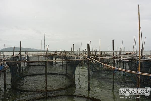 ที่เที่ยวสงขลา ที่เที่ยวสงขลา