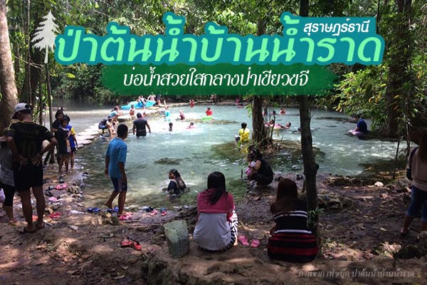ป่าต้นน้ำบ้านน้ำราด ป่าต้นน้ำบ้านน้ำราด