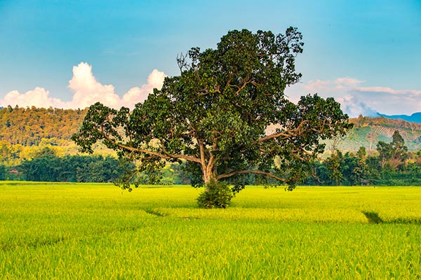 ที่เที่ยวเมืองพร้าว ที่เที่ยวเมืองพร้าว