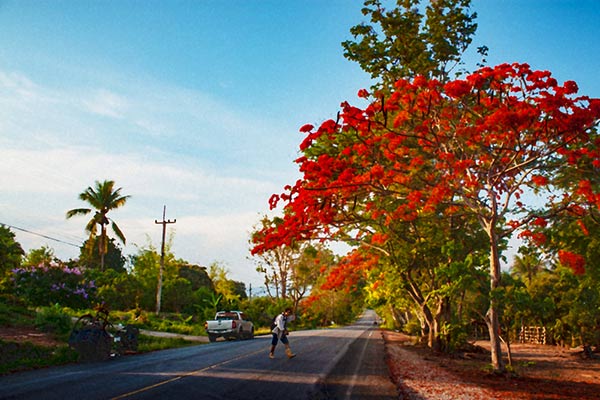 ที่เที่ยวเมืองพร้าว ที่เที่ยวเมืองพร้าว