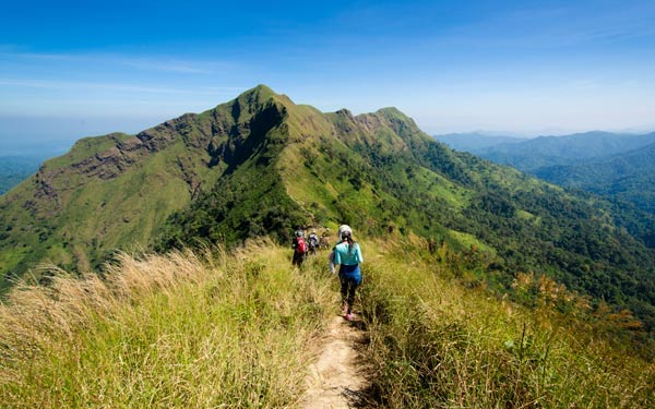 เขาช้างเผือก เขาช้างเผือก