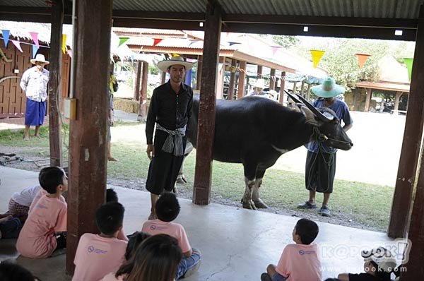 เที่ยวปทุมธานี เที่ยวปทุมธานี