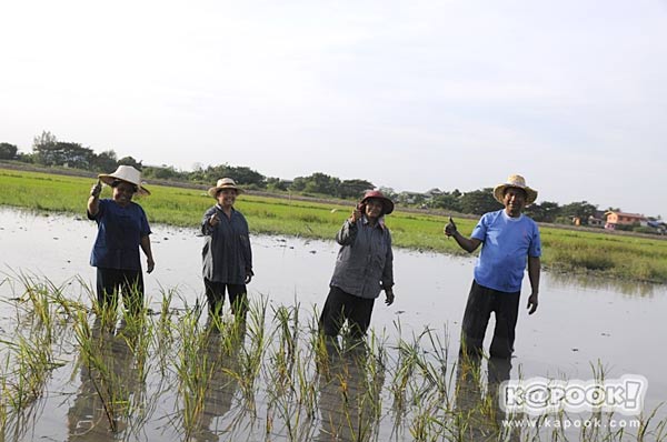 เที่ยวปทุมธานี เที่ยวปทุมธานี