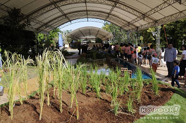 เที่ยวปทุมธานี เที่ยวปทุมธานี