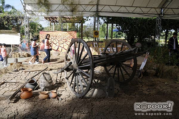 เที่ยวปทุมธานี เที่ยวปทุมธานี