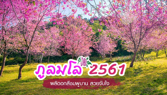 ภูลมโล 2561 ภูลมโล 2561