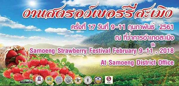 ไร่สตรอว์เบอร์รีเชียงใหม่ 2560 ไร่สตรอว์เบอร์รีเชียงใหม่ 2560