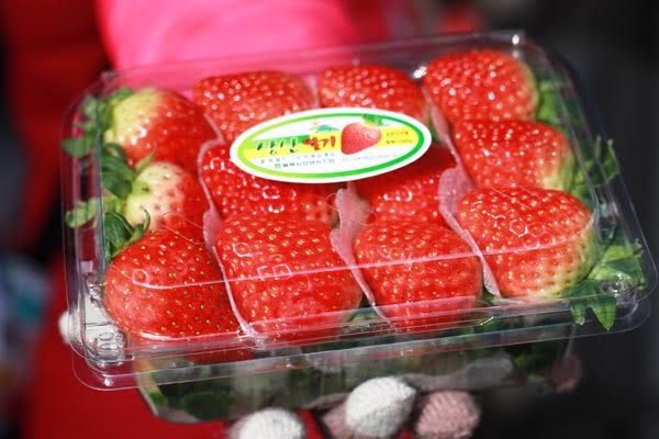 ของฝากเกาหลี ของฝากเกาหลี