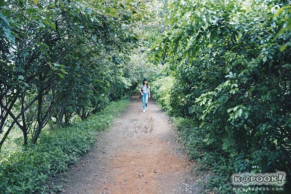 9 ที่เที่ยวราชบุรี 9 ที่เที่ยวราชบุรี