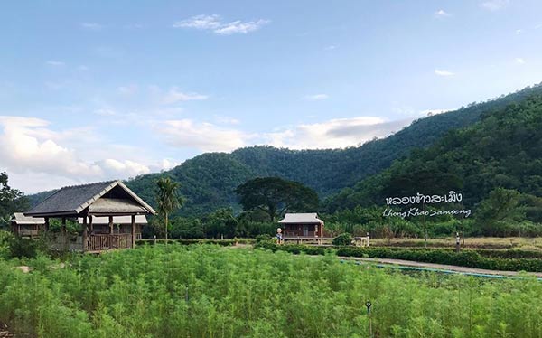 ที่พักหน้าฝน ที่พักหน้าฝน