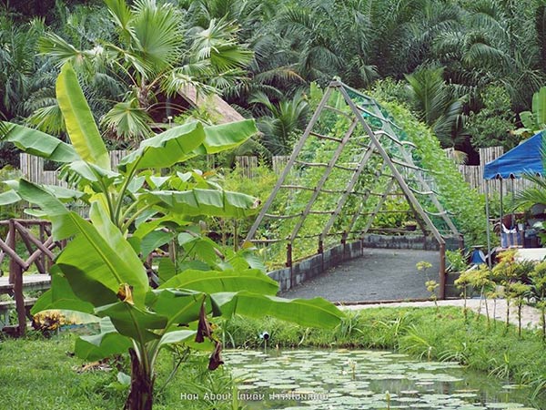 ที่พักหน้าฝน ที่พักหน้าฝน
