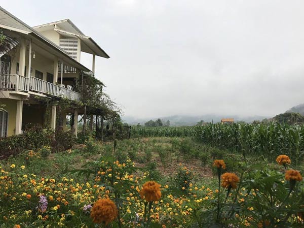 ที่พักหน้าฝน ที่พักหน้าฝน