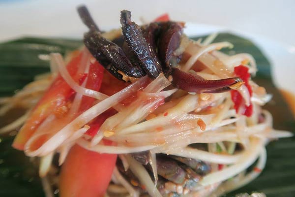 ร้านไฮ้ ส้มตําคอนแวนต์ ร้านไฮ้ ส้มตําคอนแวนต์