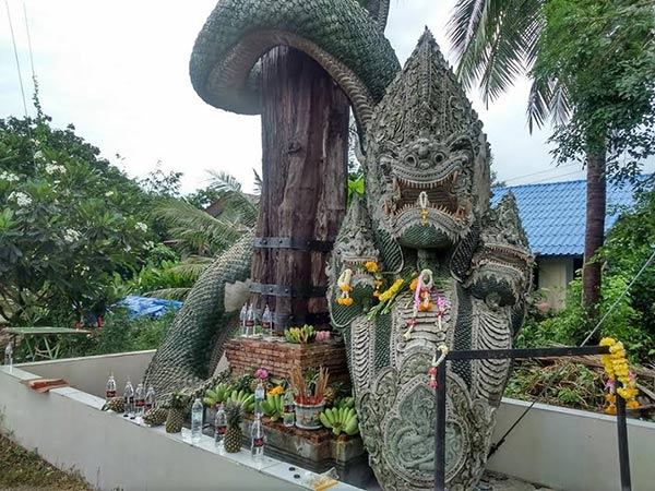 วัดป่าคลอง 11 วัดป่าคลอง 11