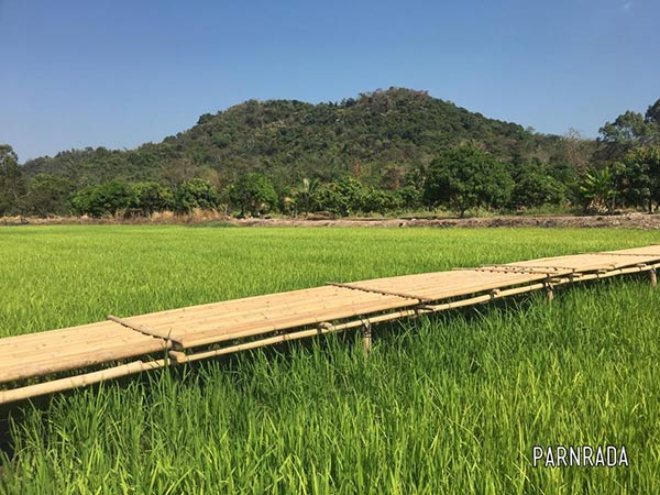 สะพานไม้ ภูกะเหรี่ยง สะพานไม้ ภูกะเหรี่ยง