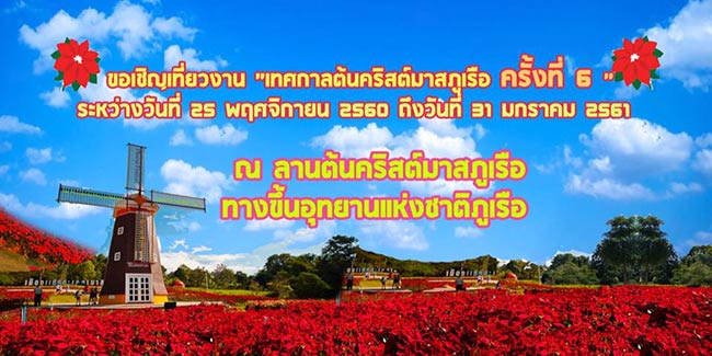 เทศกาลต้นคริสต์มาสภูเรือ เทศกาลต้นคริสต์มาสภูเรือ