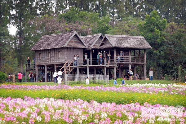 ที่เที่ยวเดือนธันวาคม ที่เที่ยวเดือนธันวาคม