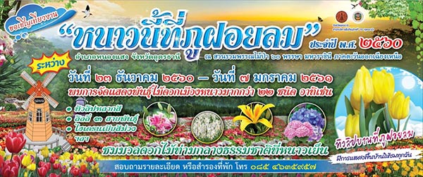 ที่เที่ยวเดือนธันวาคม ที่เที่ยวเดือนธันวาคม