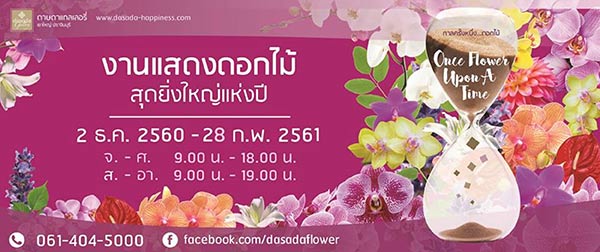 ดอกไม้หน้าหนาว ดอกไม้หน้าหนาว