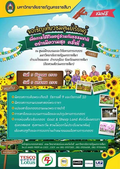 ดอกไม้หน้าหนาว ดอกไม้หน้าหนาว