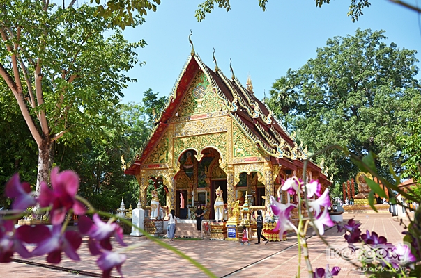 เที่ยวปัว น่าน เที่ยวปัว น่าน
