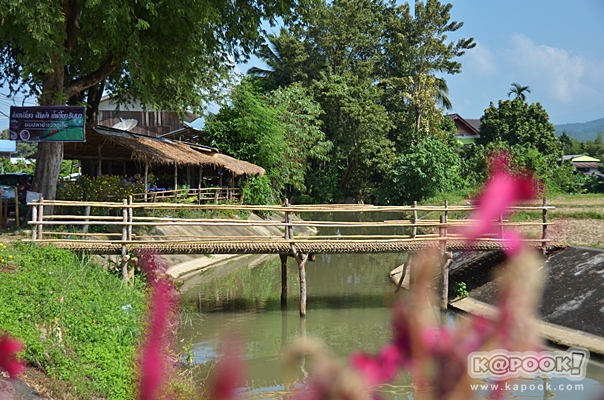 เที่ยวปัว น่าน เที่ยวปัว น่าน