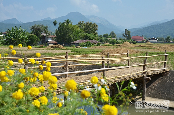 เที่ยวปัว น่าน เที่ยวปัว น่าน