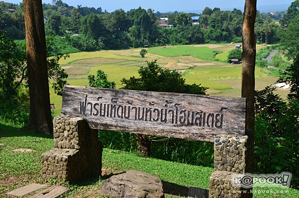 เที่ยวปัว น่าน เที่ยวปัว น่าน