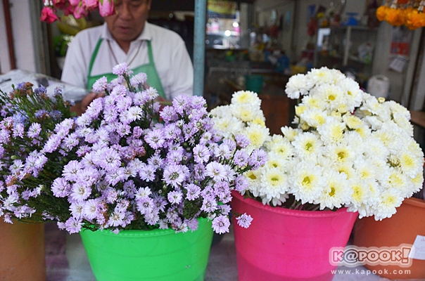 เที่ยวปัว น่าน เที่ยวปัว น่าน