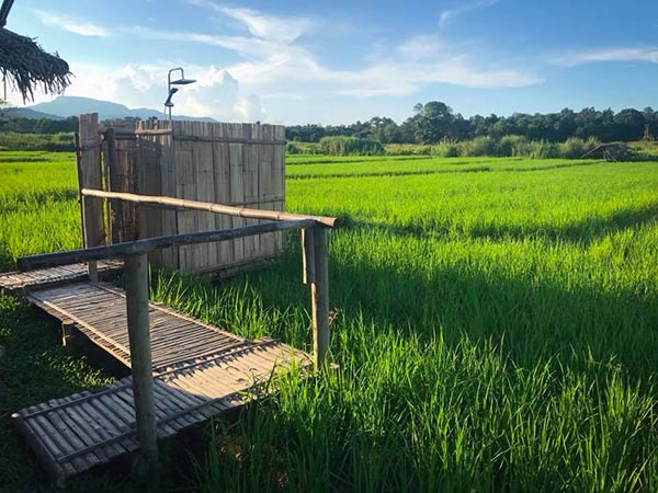 กระท่อมน้อยกลางนา กระท่อมน้อยกลางนา