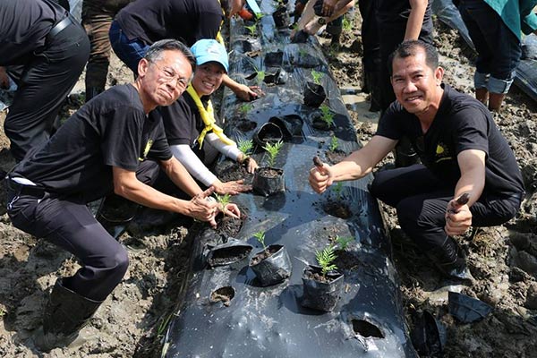 ทุ่งดอกดาวเรืองถวายพ่อ ร.9 ทุ่งดอกดาวเรืองถวายพ่อ ร.9