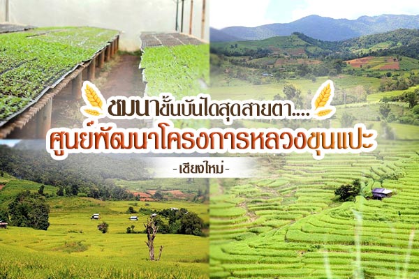 โครงการหลวงขุนแปะ โครงการหลวงขุนแปะ