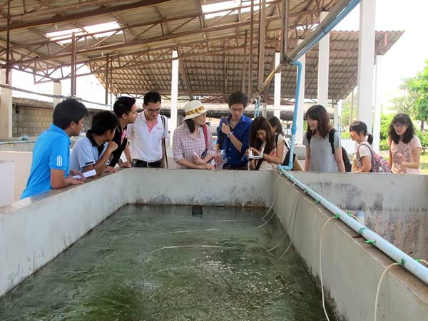 โครงการพระราชดำริด้านการประมง โครงการพระราชดำริด้านการประมง