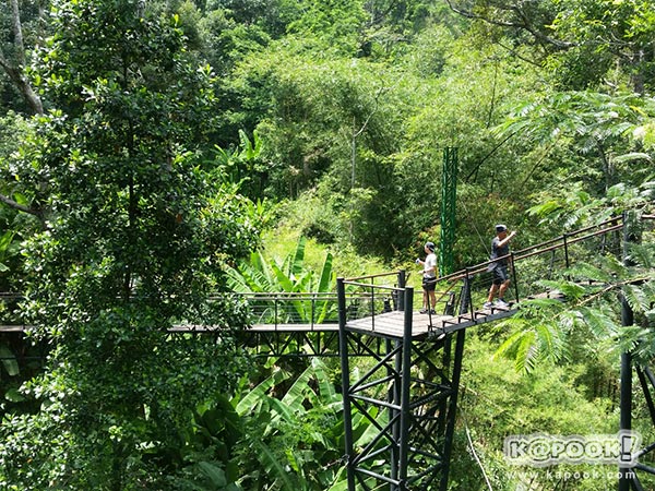 เที่ยวภูเก็ต เที่ยวภูเก็ต