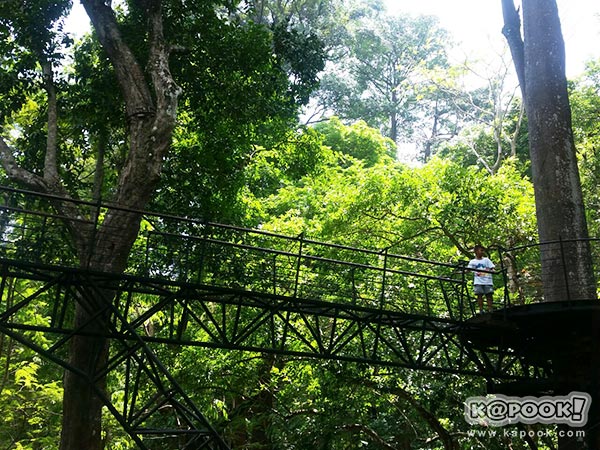 เที่ยวภูเก็ต เที่ยวภูเก็ต