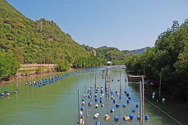 ล่องเรือคลองเขาแดง เขาสามร้อยยอด ล่องเรือคลองเขาแดง เขาสามร้อยยอด