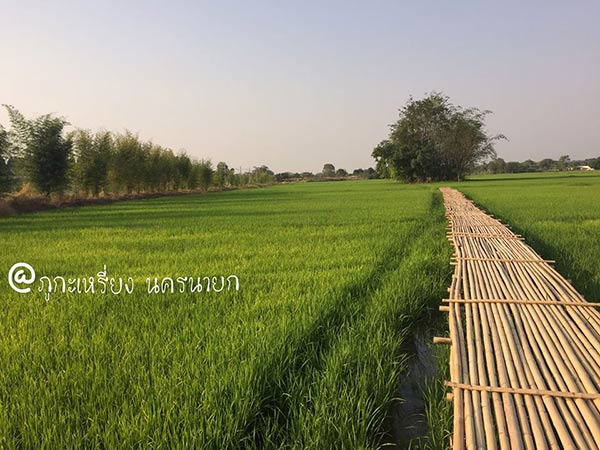 ที่เที่ยวหน้าฝน ใกล้กรุงเทพ ที่เที่ยวหน้าฝน ใกล้กรุงเทพ