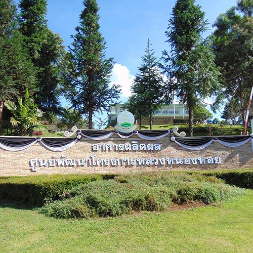 ที่เที่ยวโครงการหลวงหน้าฝน ที่เที่ยวโครงการหลวงหน้าฝน