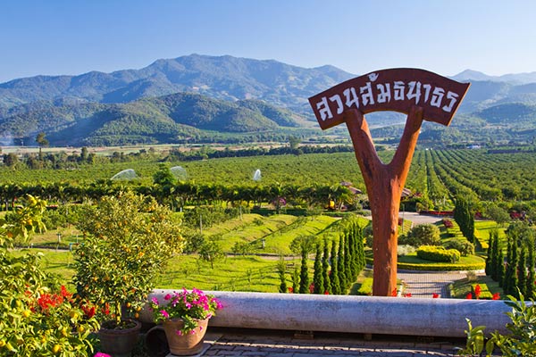 เที่ยวฝาง เที่ยวฝาง