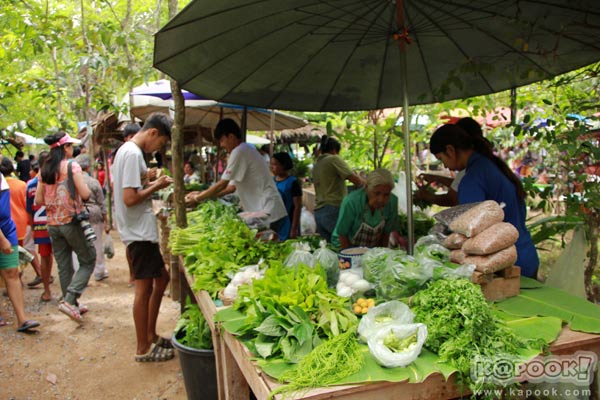 ตลาดเกษตรอินทรีย์ ตลาดเกษตรอินทรีย์
