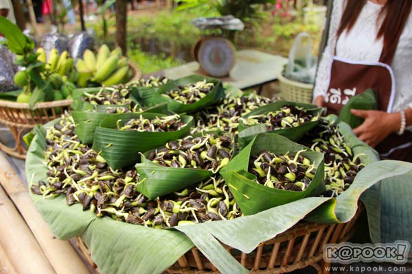 ตลาดเกษตรอินทรีย์ ตลาดเกษตรอินทรีย์